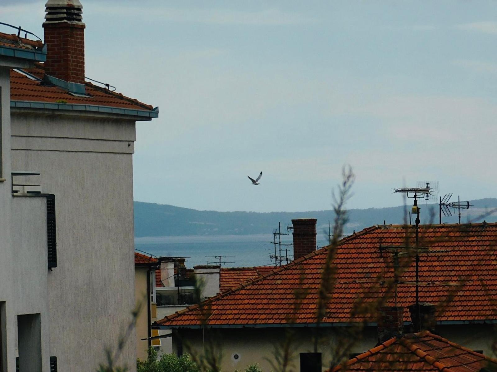 Apartments Lux Lariva, Center Of Split Eksteriør bilde